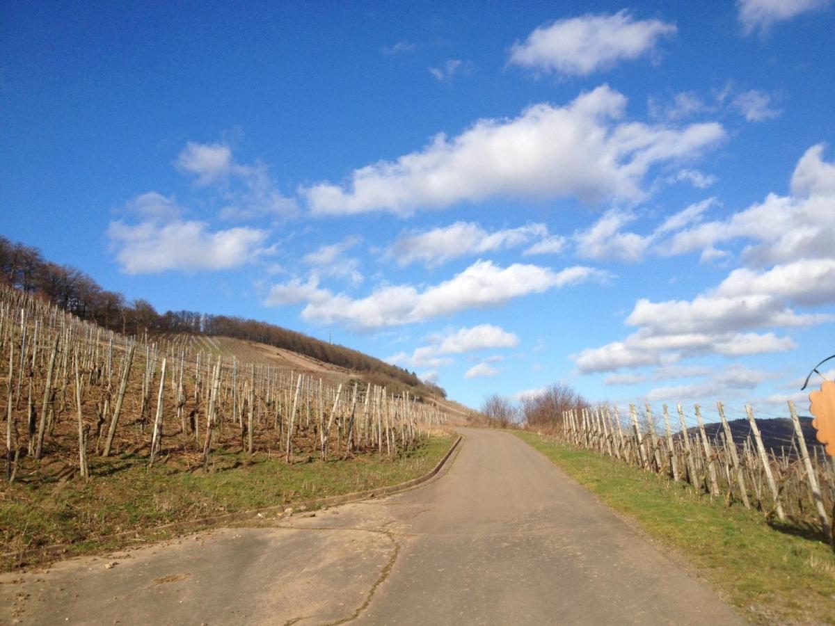 Hotel Weingut Dehren Ellenz-Poltersdorf Zewnętrze zdjęcie
